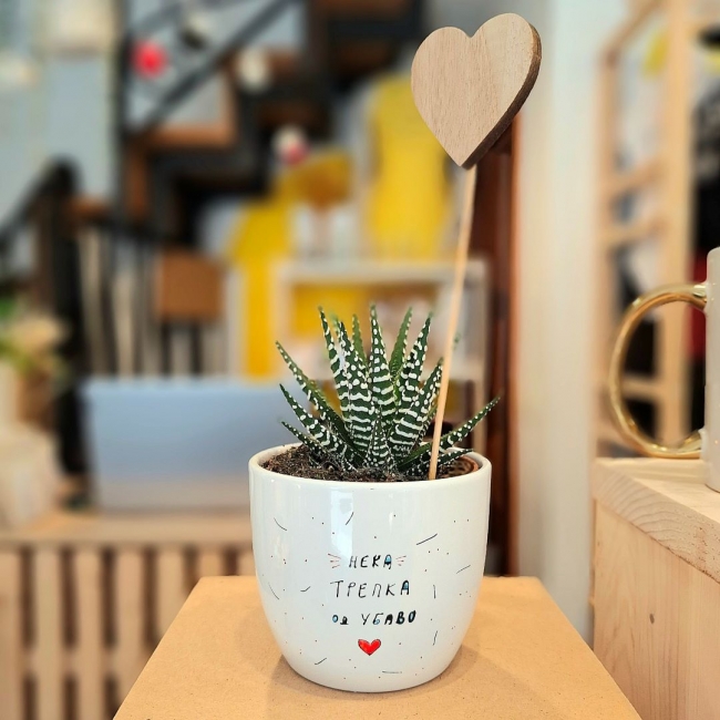 Саксија со дизајн "Нека трепка од убаво" со сукулент