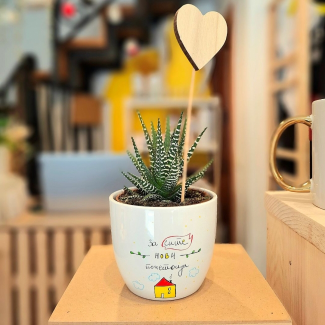 Саксија со дизајн "За сите нови почетоци" со сукулент